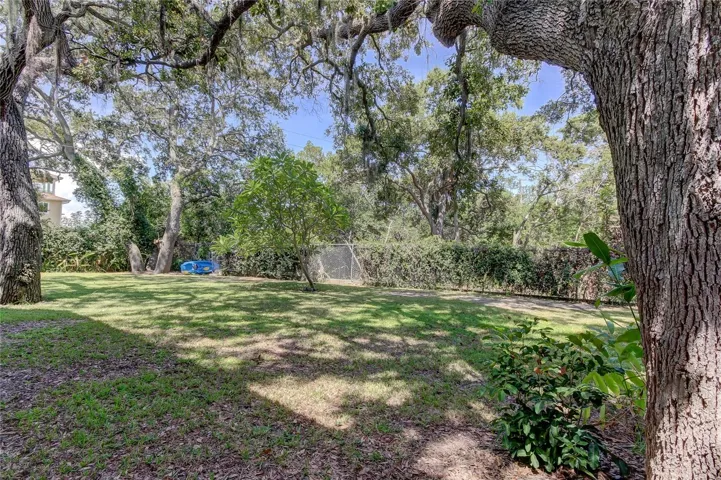 Extra-large Backyard
