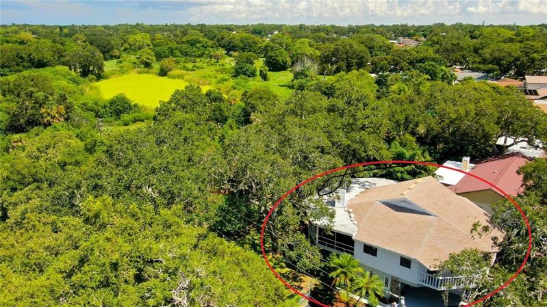 Mature Landscaping and Trees