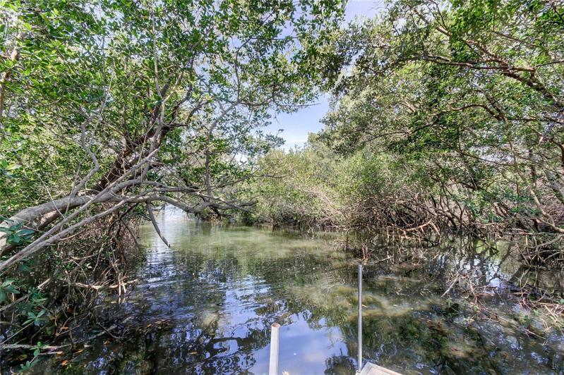 Tidal Water Leading to Intracoastal Allowing for Canoeing and Kayaking Fun