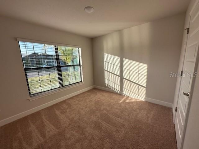 Tons of natural light!