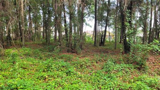Lot backs up to Ocala Palms