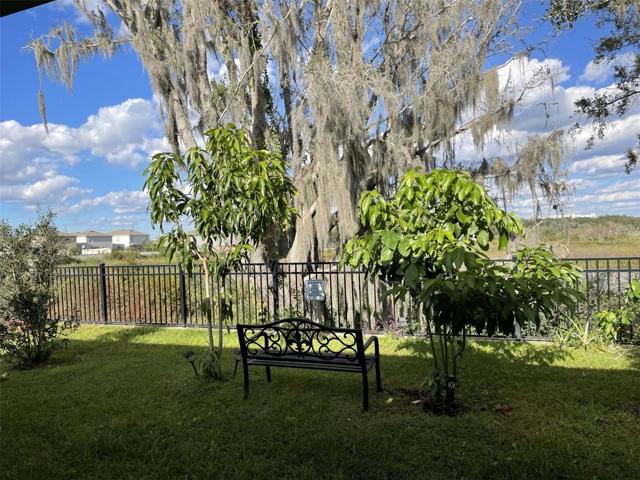 VIEW FROM PORCH