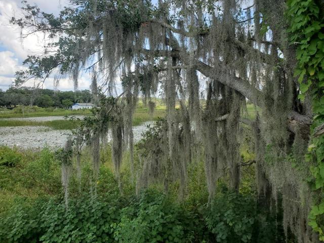 View from the back of the property