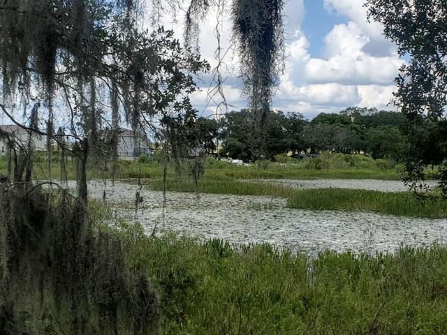 View from the property in the backyard