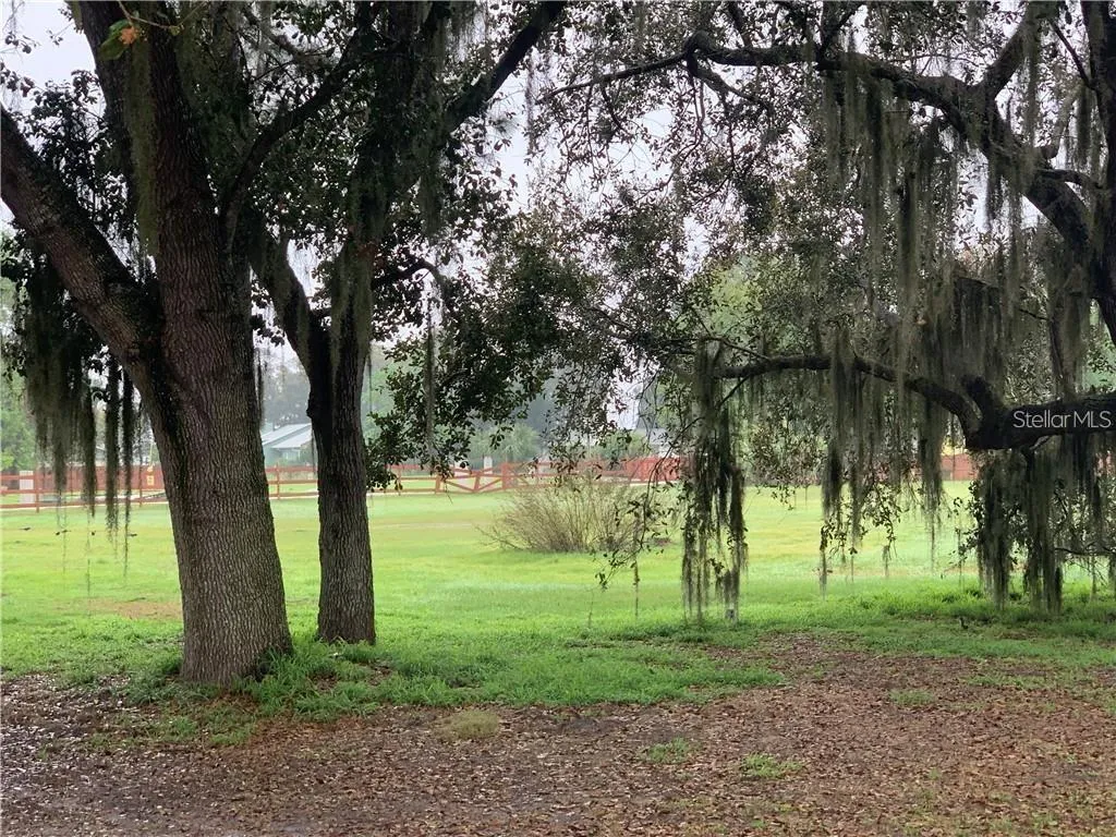 St Cloud, Florida 34772, 0 , 0 ,0,Land,For Sale,MARJORIE,0,S5073976