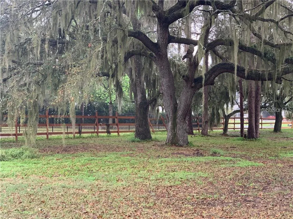 St Cloud, Florida 34772, 0 , 0 ,0,Land,For Sale,MARJORIE,0,S5073976
