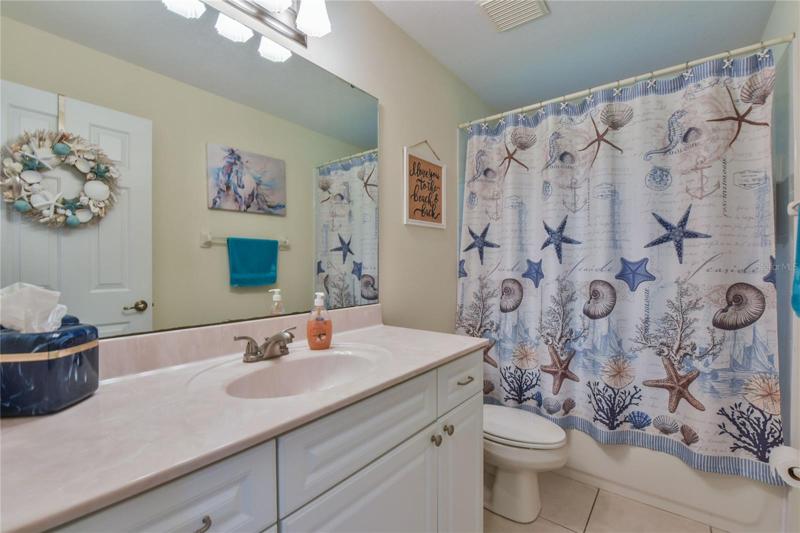 Guest Bath Tub/Shower combo