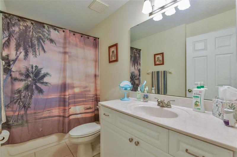 Guest Bathroom Tub/Shower Combo