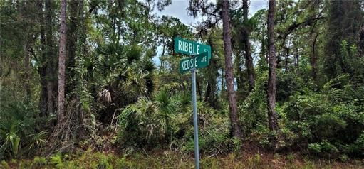 Corner of Kedsie Ave. and Ribble St. facing property
