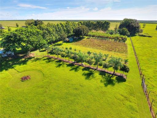 Agricultural area with a variety of fruit trees. Fully irrigated