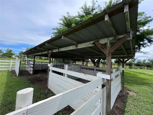 Livestock Run/Shelter