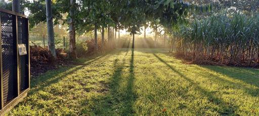 Shaded walking trail