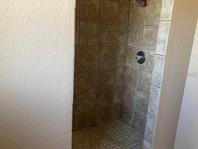 Master Bath Shower