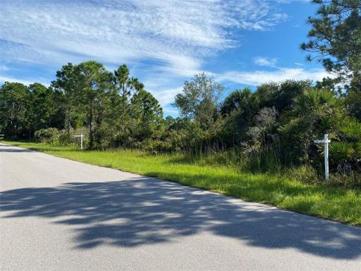 Adjacent lot (278 Spaulding St) also available for sale!