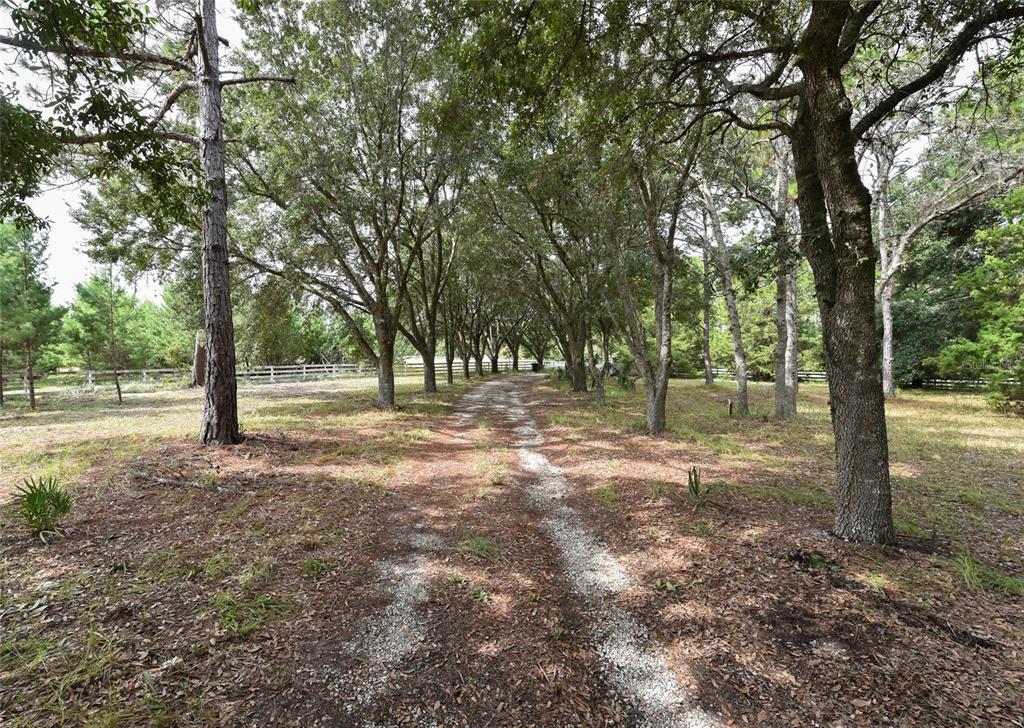 Path to House