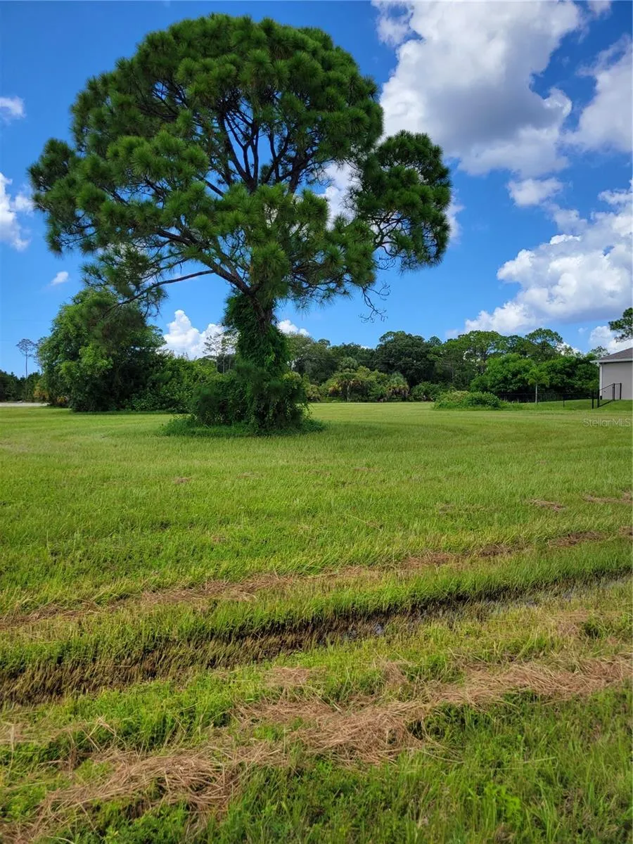 Cape Coral, Florida 33993, 0 , 0 ,0,Land,For Sale,40TH,0,O6061774