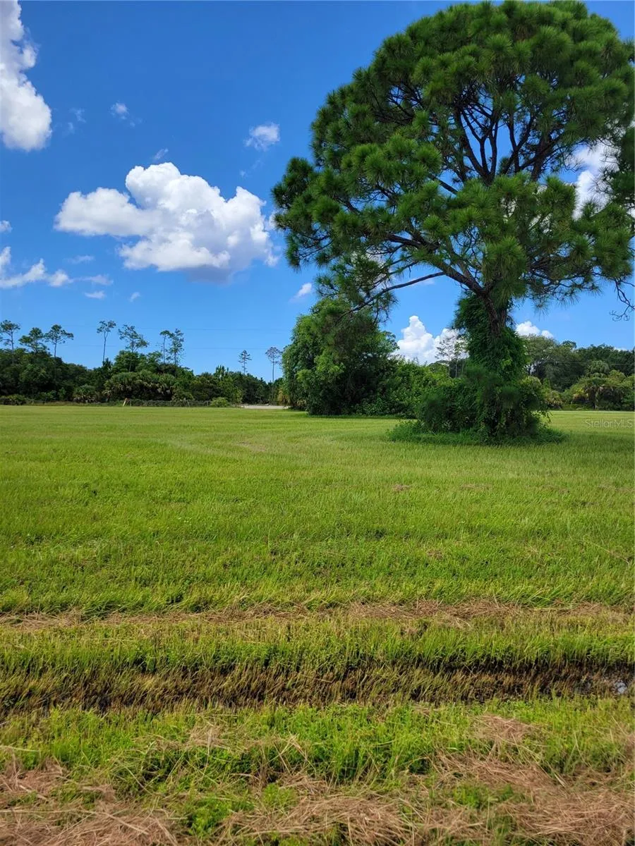 Cape Coral, Florida 33993, 0 , 0 ,0,Land,For Sale,40TH,0,O6061774