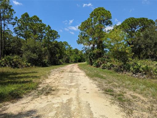 Looking down Carousel Dr