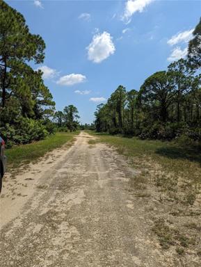 Another view of Carousel Dr