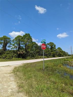 Corner of Carousel Dr and Path Ave