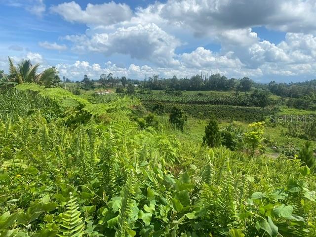 Barranquitas, Puerto Rico 00794, 0 , 0 ,0,Land,For Sale,CARR 152,0,PR9097290