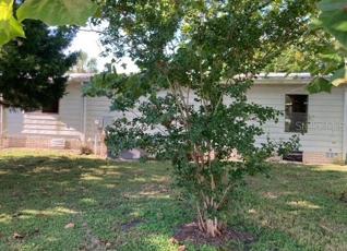 Back of House