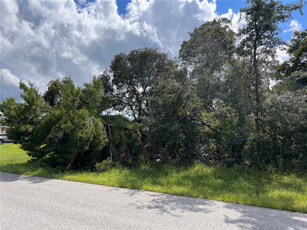 Left Side of Lot