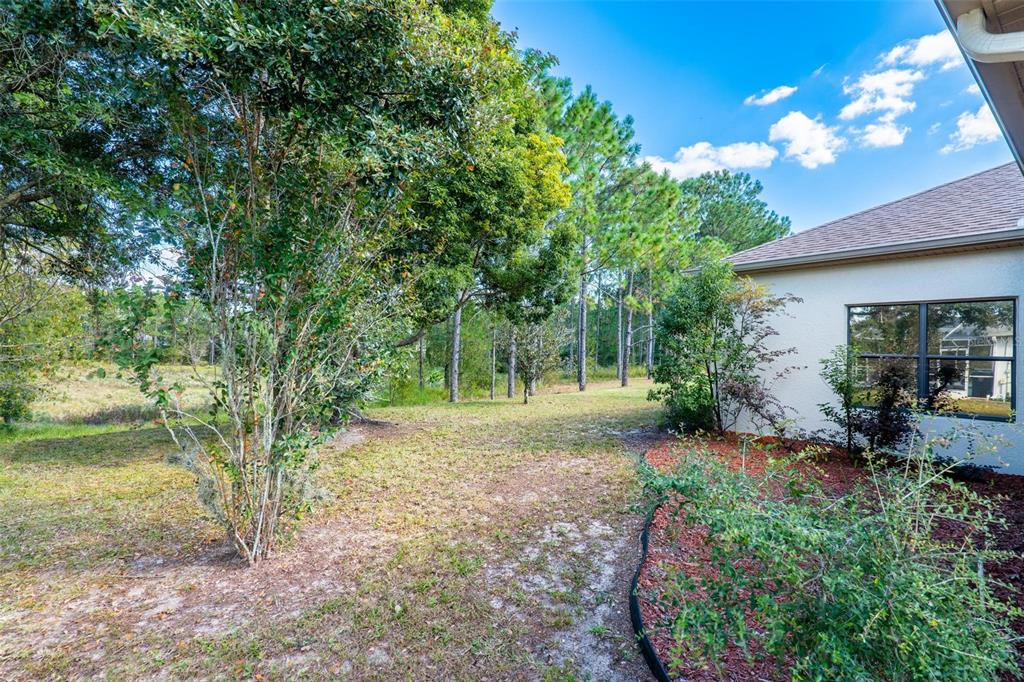 side yard view showing conservation in back of home.