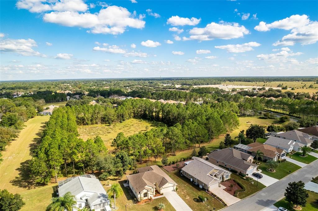 drone view