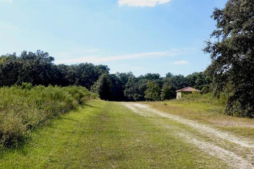 ROLLING HILLS HOMESITE