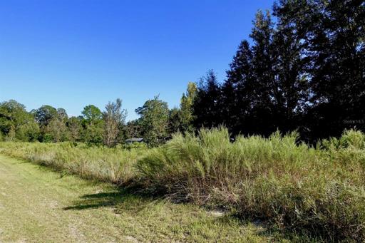 ROLLING HILLS HOMESITE