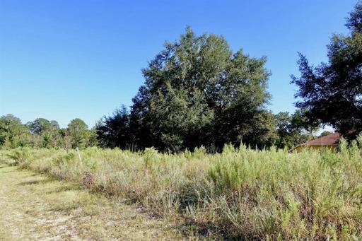 ROLLING HILLS HOMESITE
