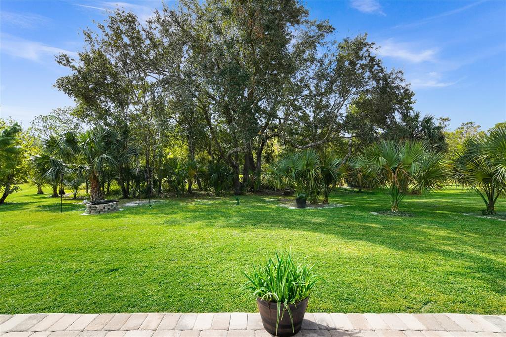 landscape behind home