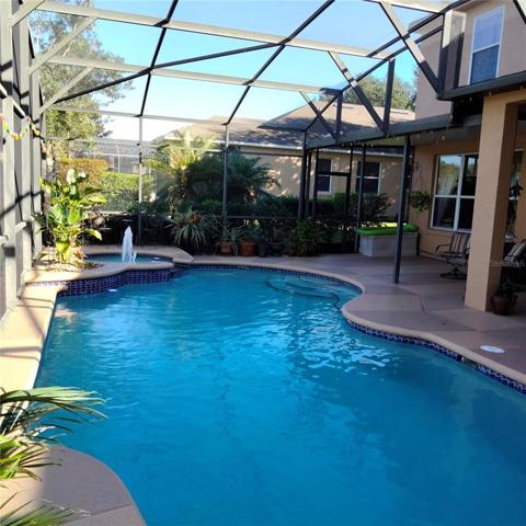 Large pool and spa