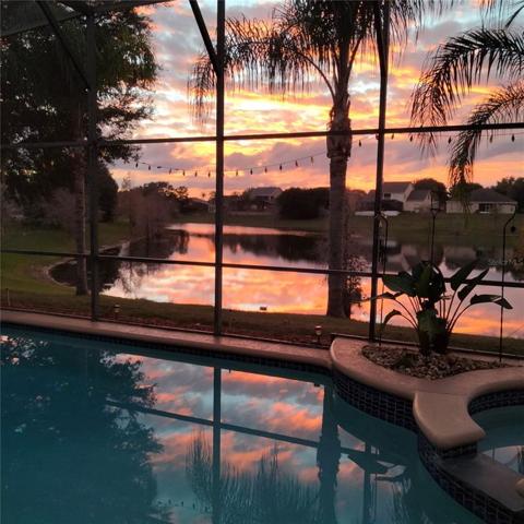 Sunrise View of the pool, spa and the pond from the lanai
