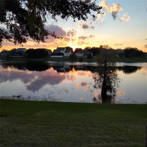 View of the pond from the back of the house