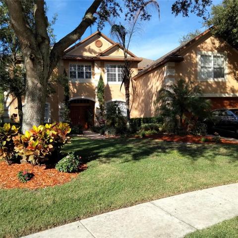 Front of house faces east. Painted with expensive Elastomeric paint. Never have to paint again, just pressure wash!