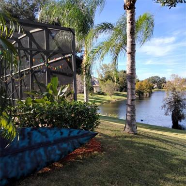 Side view of screened-in pool and spa looking out towards the pond