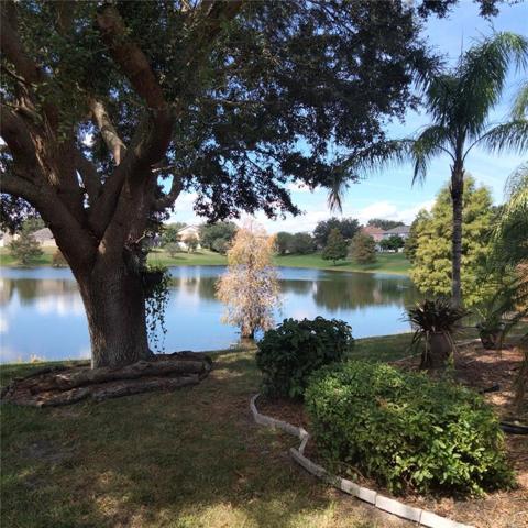 View of the pond from the back of the house