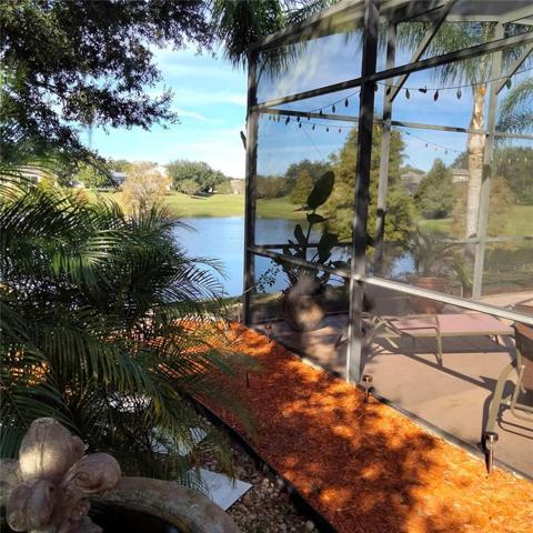 Side view of screened-in pool and spa looking out towards the pond