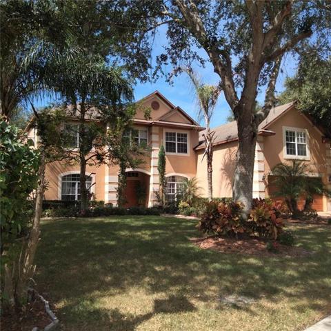 Front of house faces east. Painted with expensive Elastomeric paint. Never have to paint again, just pressure wash!