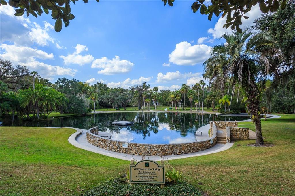 The Springs Community Park Area