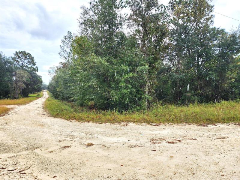 Corner Lot! .78 Acre