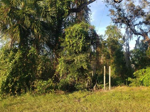 1/3 acre lot!