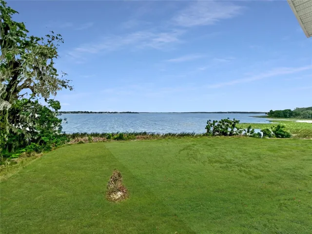 VIRTUAL STAGED PHOTO  / GREEN GRASS