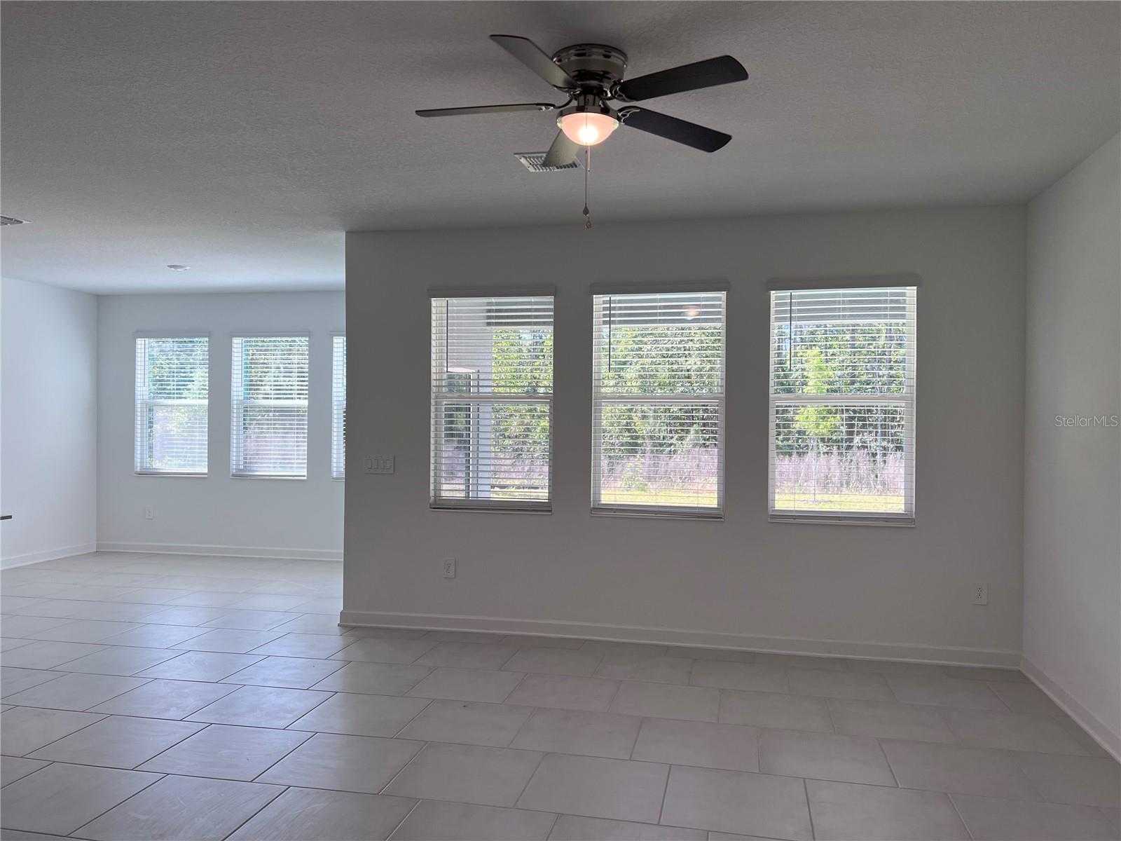 living room, dining room combo