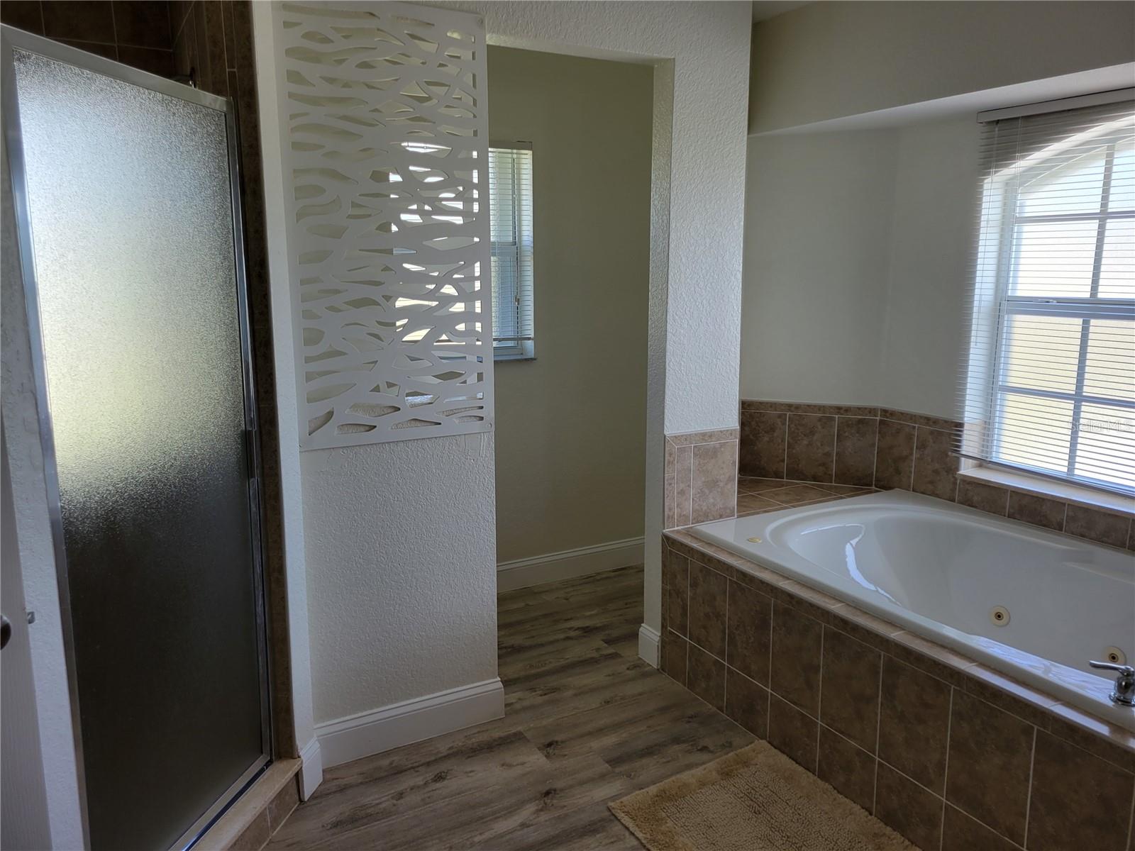 Master bathroom 1