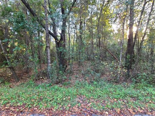 Lot on Sequoia Loop Lane