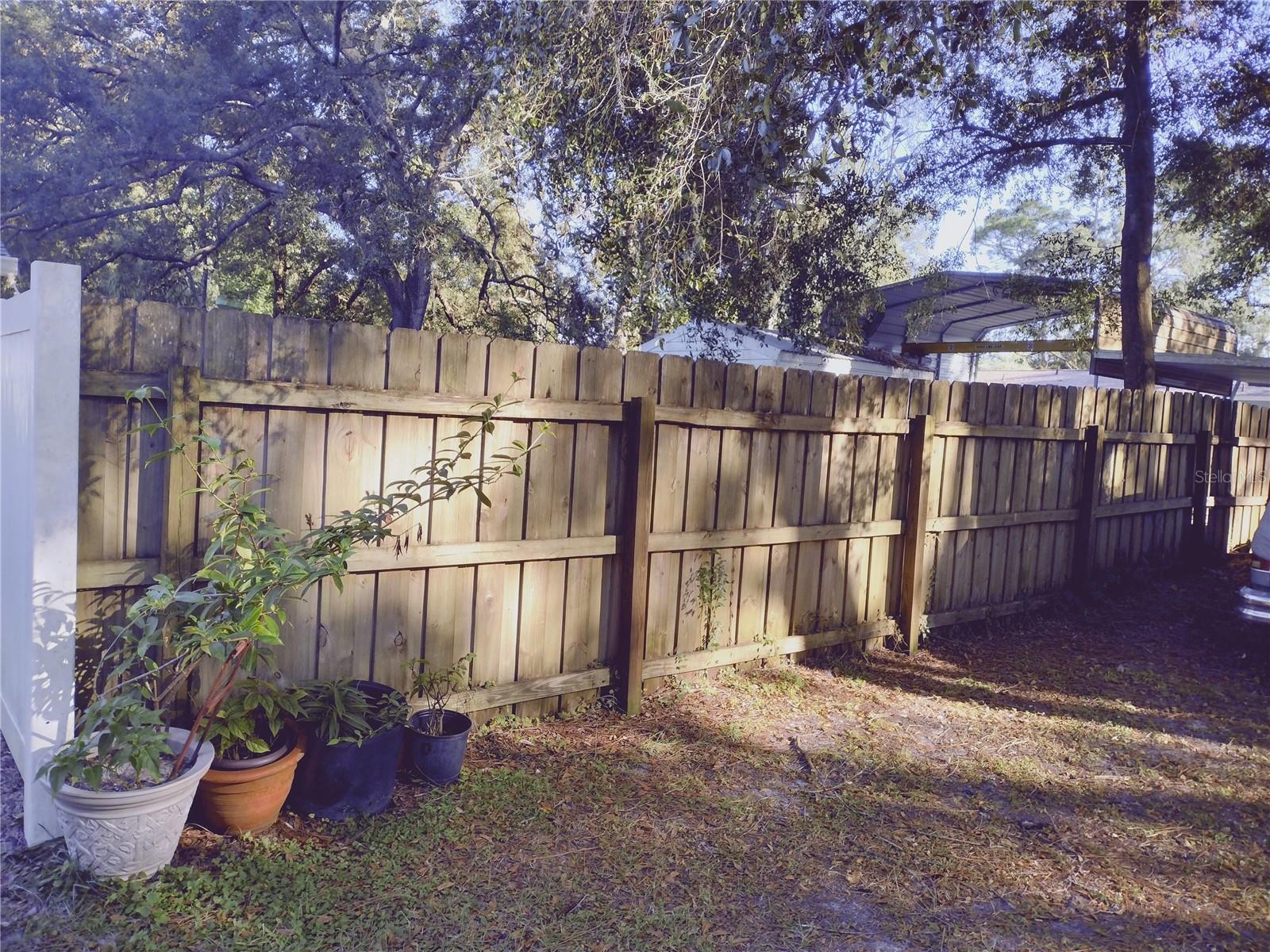 Privacy Fence back left Yard