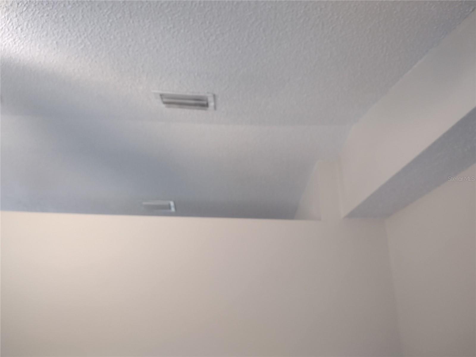 Vaulted Ceiling in Living Room